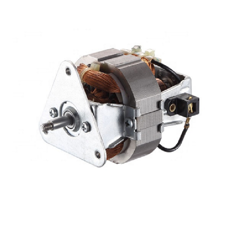 Other Motor